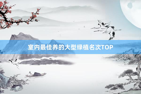 室内最佳养的大型绿植名次TOP
